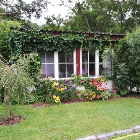 Ferienhaeuschen Gruber Villa Loosdorf Ngoại thất bức ảnh